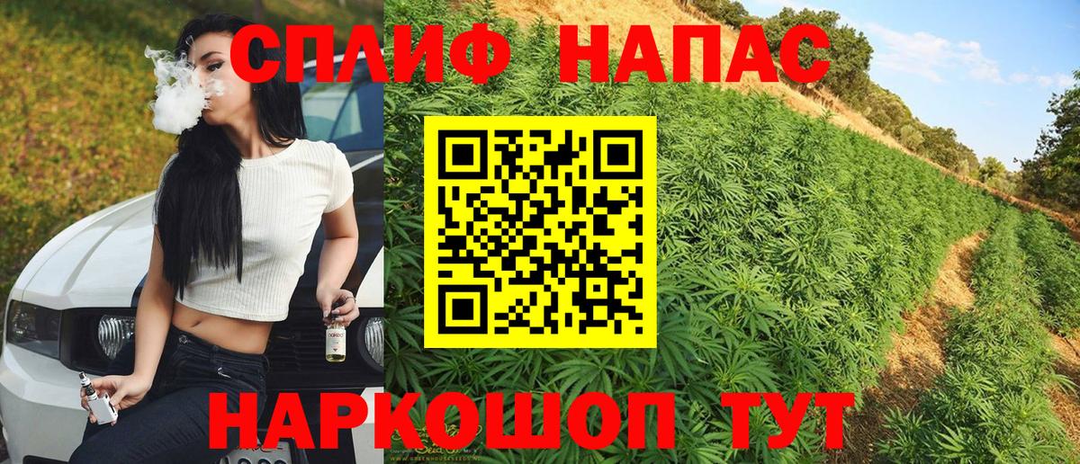 Марихуана планчик  Канабис Amnesia  Бошки марихуана семена  Ярцево  Вход с VPN 